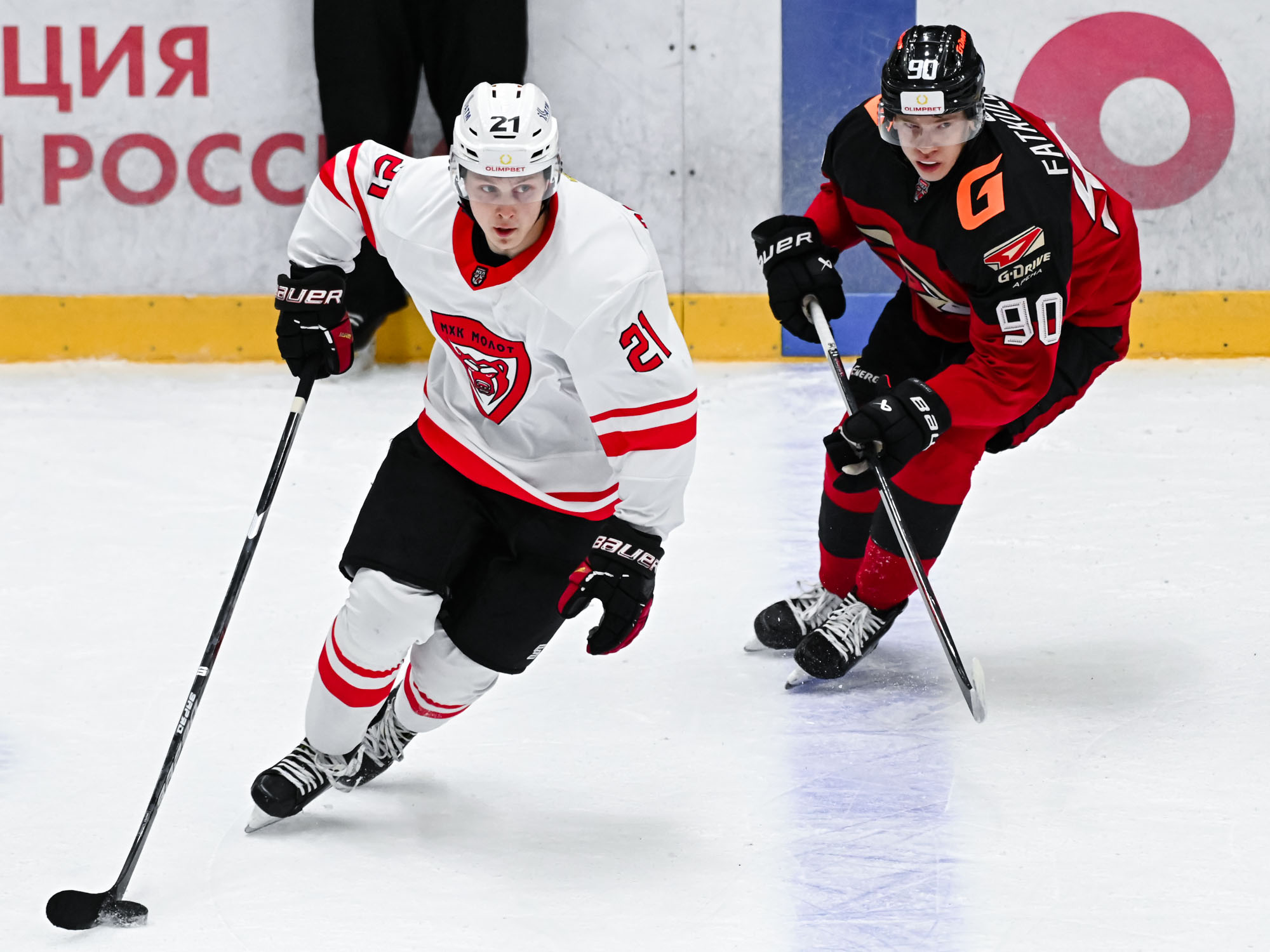 медведи ястребы прогноз